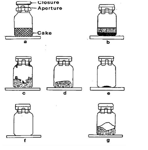15272210164063.jpg 圖片1.jpg