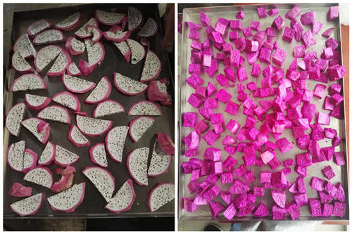 15960857277598.jpg 欣諭火龍果凍干.jpg