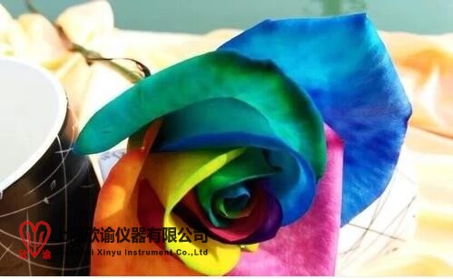 16206095423863.jpg 七彩永生花2.jpg