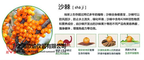 16219944688519.jpg 沙棘01.jpg